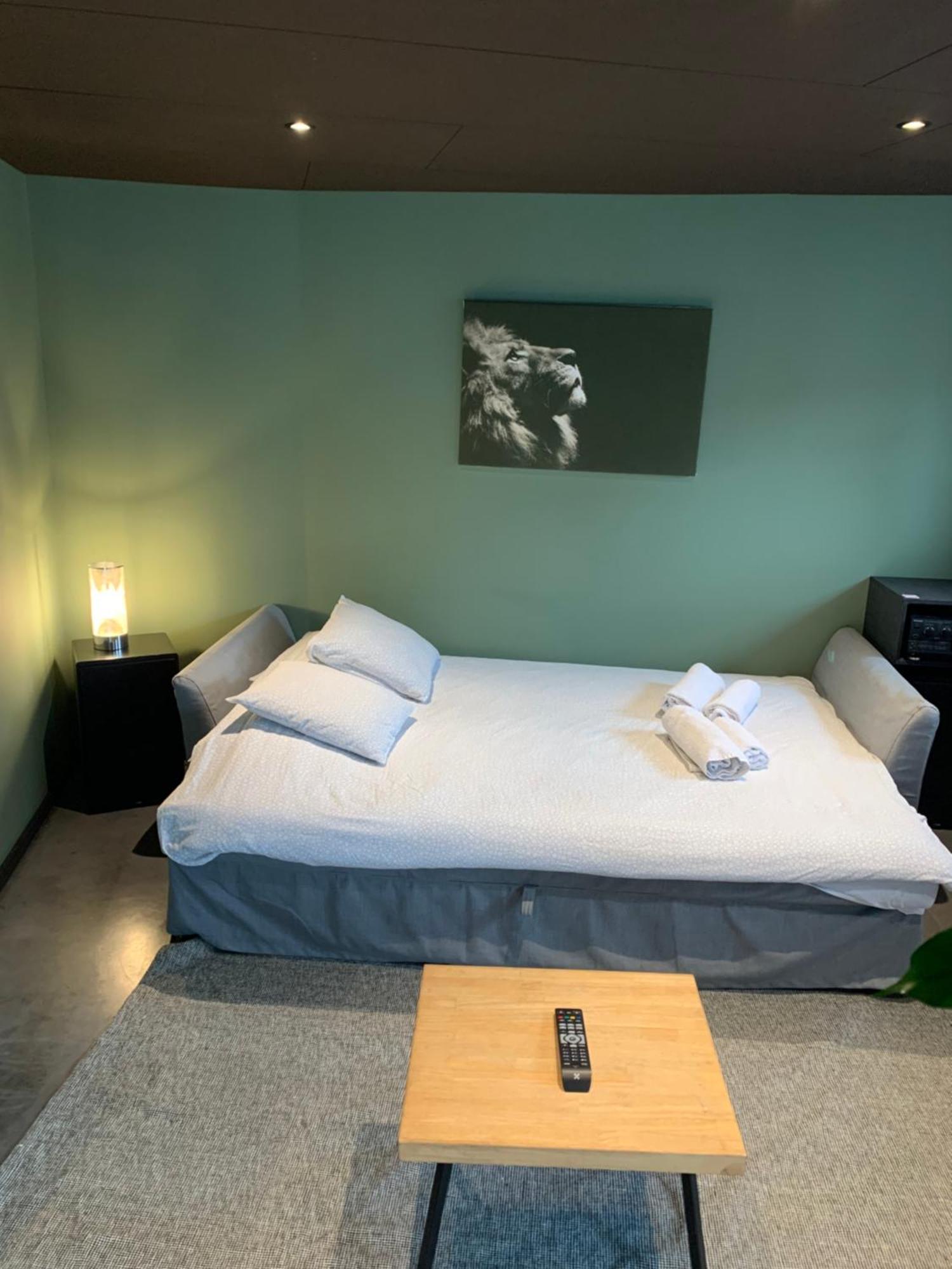 Froissart Loft Et Studio Chimay Exterior foto